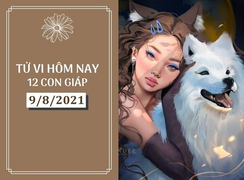 Dự đoán 12 con giáp 9/8: Dần tài lộc vượng phát, Tuất cẩn thận kẻo rước họa