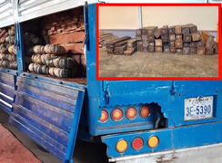 Xe tải ngụy trang bí đỏ để chở gỗ lậu qua biên giới 