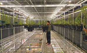 Ông chủ vườn lan Lính Bay và hành trình hơn 30 năm gắn bó với hoa lan