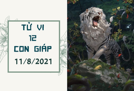 Dự đoán 12 con giáp 11/8: Dần đào hoa nở rộ, Hợi để ý trộm cắp