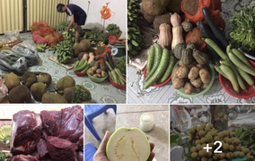 Thất nghiệp thời COVID-19, bất ngờ tìm thấy cơ hội 'đổi đời'