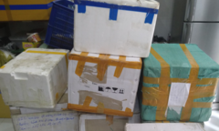 Bắt quả tang lô thuốc hỗ trợ điều trị COVID-19 nhập lậu vào TP.HCM