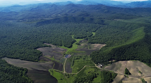 Tàn tích khủng khiếp vật thể ngoài hành tinh để lại sau khi 'tấn công' Trái đất