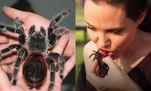 Lạ lùng món nhện độc Campuchia, ai nhìn cũng khiếp vía nhưng vẫn ùn ùn người ăn
