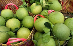 Dân than còn 500 tấn bưởi chưa bán được, Sở NN&PTNT Bà Rịa - Vũng Tàu nói gì?