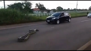 Video: Trăn khổng lồ thản nhiên bò qua đường cao tốc ở Brazil