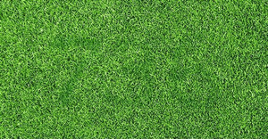 Người nào cực kỳ tinh mắt mới thấy 3 chữ số trên bãi cỏ này