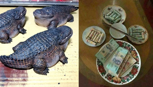 Loạt ảnh ở nhà cuối tuần khiến dân tình cười nghiêng ngả