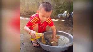 Ngộ nghĩnh cảnh cậu bé cho cá chép tu nước trong chai