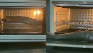 Chết cười xem cô nàng hậu đậu nướng cá lóc 