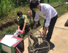 Lâm Đồng bàn giao tê tê quý hiếm cho Vườn Quốc gia Cát Tiên