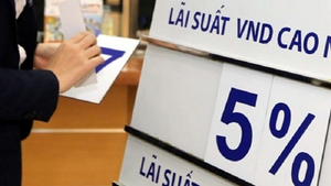 Ngân hàng cam kết hạ lãi suất hỗ trợ doanh nghiệp, NHNN sẽ giám sát thế nào?