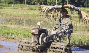 Thời tiết ngày 16/8: Trung Bộ nắng gắt, Bắc Bộ mưa rào và dông rải rác