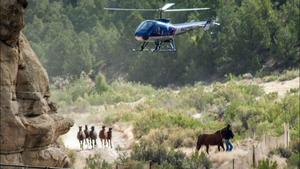 Video: Dùng trực thăng vây bắt ngựa hoang ở Mỹ
