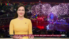 Vì sao BTV Phương Thảo dừng dẫn thời sự VTV?