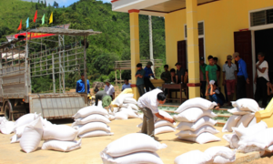 Đề xuất hỗ trợ hơn 130.000 tấn gạo cứu đói cho người dân 24 địa phương
