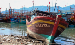 Ra khơi lỗ nặng, hàng trăm tàu cá ‘mắc cạn’ ở Quảng Bình 