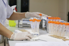 Hà Nội ghi nhận thêm 29 ca nghi COVID-19, trong đó 20 người ở quận Đống Đa