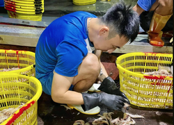 Đề xuất huỷ V-League 2021: Cầu thủ bóc tôm, người gom giấy vụn lấy 200.000 đồng