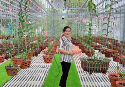 Bà chủ vườn lan Thanh Bình và nguyện vọng ngành lan vươn tầm cao mới