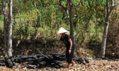 Nữ sinh lớp 8 đốt hàng loạt nhà chứa rơm để trả thù