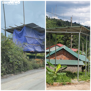 Đánh công an, đòi đền 50 triệu đồng/cây gỗ tạp: Thông tin mới nhất