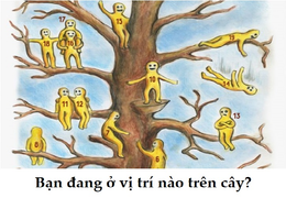 Bài trắc nghiệm nổi tiếng: Chọn con số trên cây để biết bạn thực sự là ai