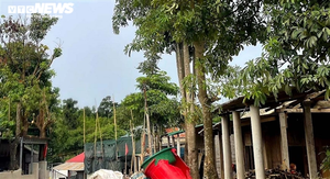 Video: Tìm về nơi nhiều công an bị đánh khi bảo vệ thiết bị điện gió ở Quảng Trị