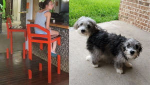 Loạt ảnh khó tin nhưng thật 100%: Sao có thể như vậy được?