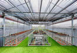 Ông chủ vườn lan Vân Phạm và niềm tin vào ngành lan