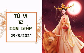Dự đoán 12 con giáp ngày 29/8: Sửu tràn ngập vận may, Mùi địa vị thăng tiến