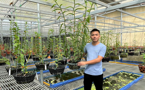 Từ kinh doanh vật liệu xây dựng đến ông chủ vườn lan Lê Quốc Tiệp