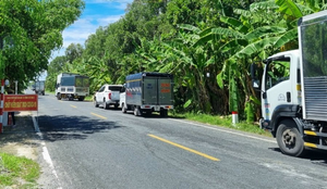 Vì sao Cà Mau bắt tài xế xe luồng xanh phải xét nghiệm lại?