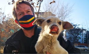 Cựu binh Anh hứng chỉ trích vì sơ tán cùng chó mèo, để nhân viên kẹt lại Kabul