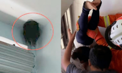 Giải cứu bé gái, cảnh sát sợ hết hồn bởi cảnh tượng hệt phim kinh dị