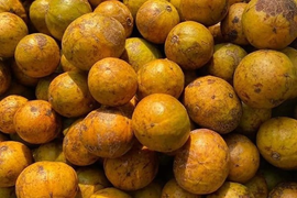 Đặc sản Hà Nội ngày cuối mùa, khách tranh nhau mua 