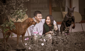 Diva Mỹ Linh: Hai vợ chồng cứ loay hoay 'cày' cho con đi học dài đằng đẵng