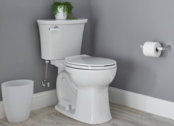 Vì sao bồn cầu thường có màu trắng muốt dù rất dễ bẩn?