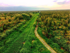 Khám phá khu rừng ở Việt Nam được xếp loại quý hiếm trên thế giới