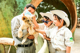 24 giờ của 'bố hổ', 'mẹ sư tử' ngoài đời tại Vinpearl Safari