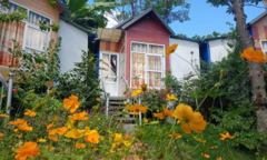 Ngấm đòn COVID-19, homestay đồng loạt rao bán, giá giảm sâu vẫn ế khách