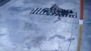 Video: Rắn chui vào chăn, người đàn ông vẫn say giấc ngủ