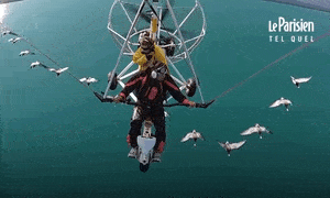 Video: Người đàn ông chăn ngỗng bằng tàu lượn