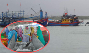 Ảnh: Ngư dân cấp tập về đất liền tránh bão, chấp nhận chuyến vươn khơi thua lỗ 