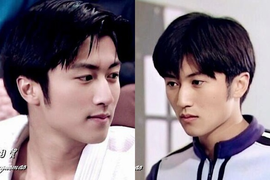 Nhan sắc Tạ Đình Phong từng khiến Trương Bá Chi say đắm, Vương Phi mê mệt 20 năm