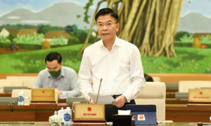 69 văn bản trái pháp luật, nhiều quy định chi tiết 'nợ' cả năm