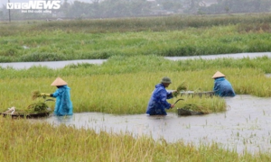 Thời tiết ngày 13/9: Miền Trung mưa to, đề phòng lốc sét và gió giật mạnh