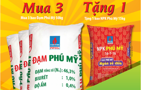 Hơn 3.000 tấn phân bón trị giá hơn 30 tỷ đồng tặng bà con nông dân