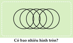 Đố vui hại não: Có bao nhiêu hình tròn?