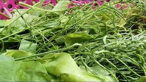 Loại rau có mùi như sầu riêng, đứng xa cả mét vẫn hôi lại là món ngon khó cưỡng